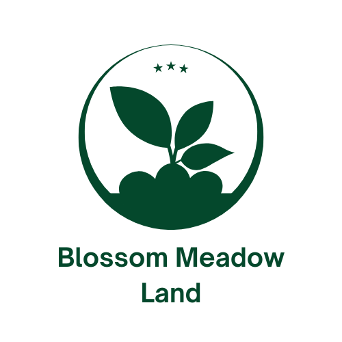 BlossomMeadowLand